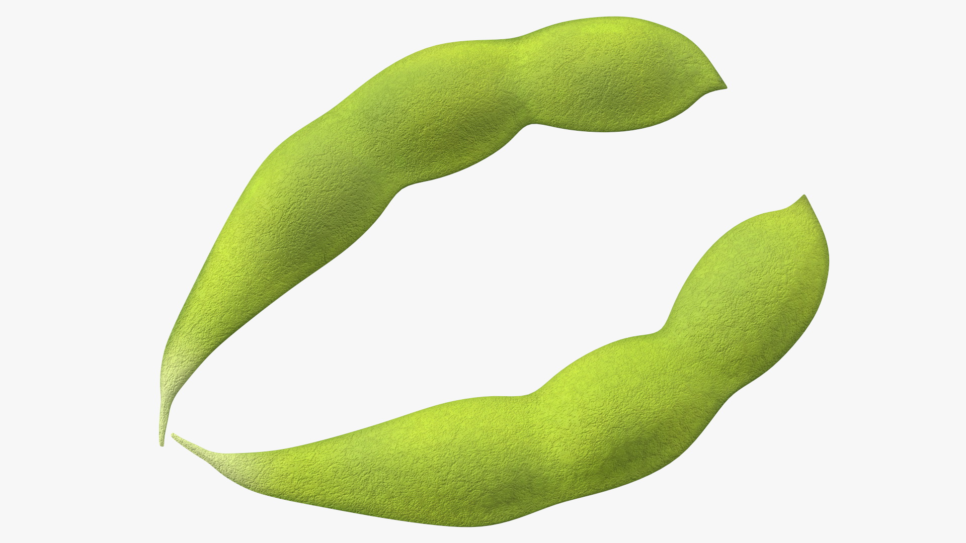 Green Soybean Pod Open 3D