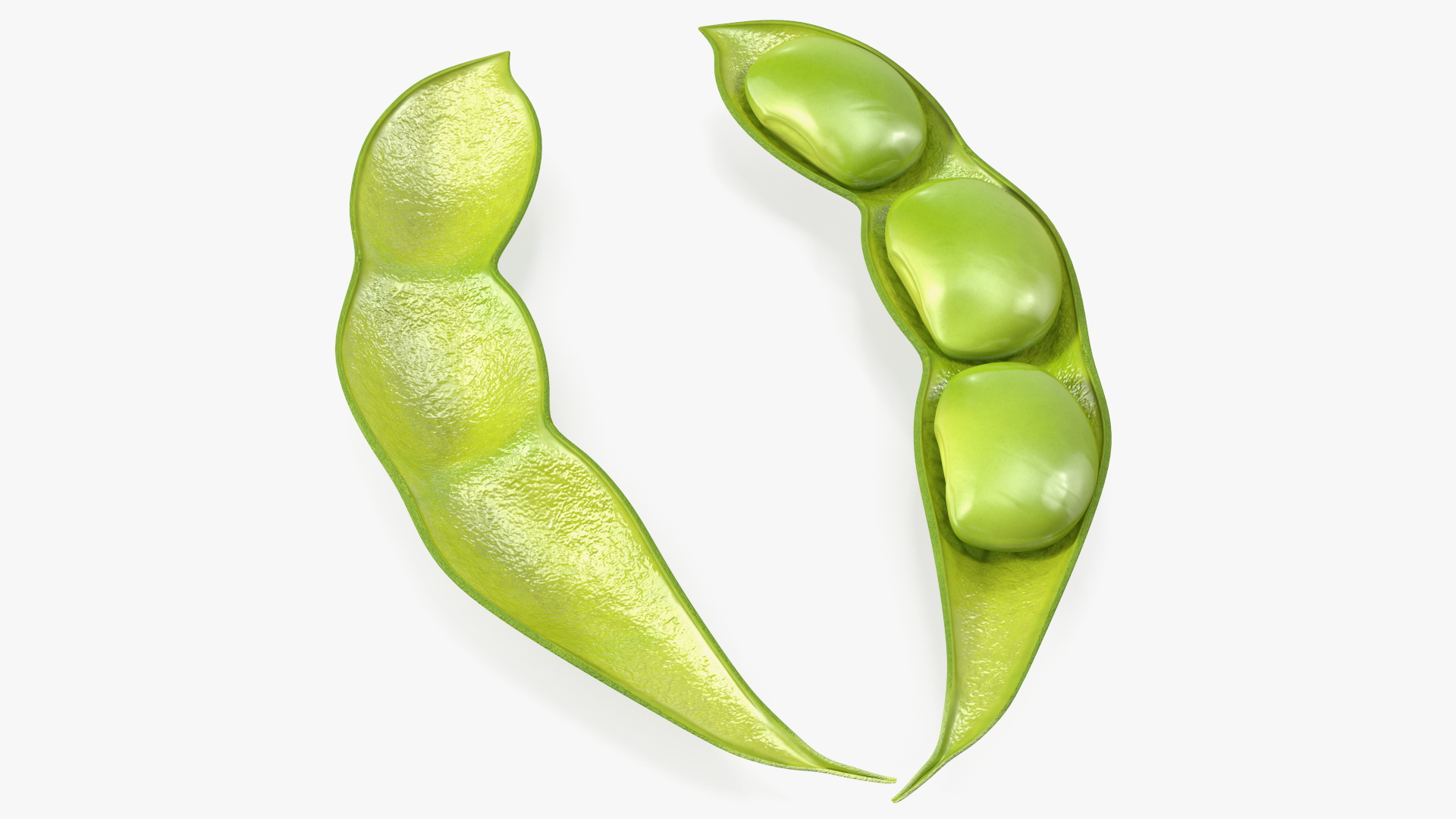 Green Soybean Pod Open 3D