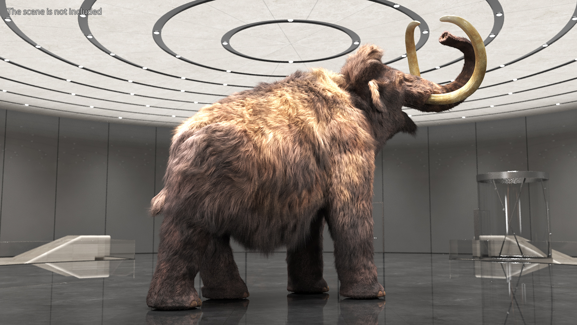 Mammoth Adult Fur Rigged 3D model