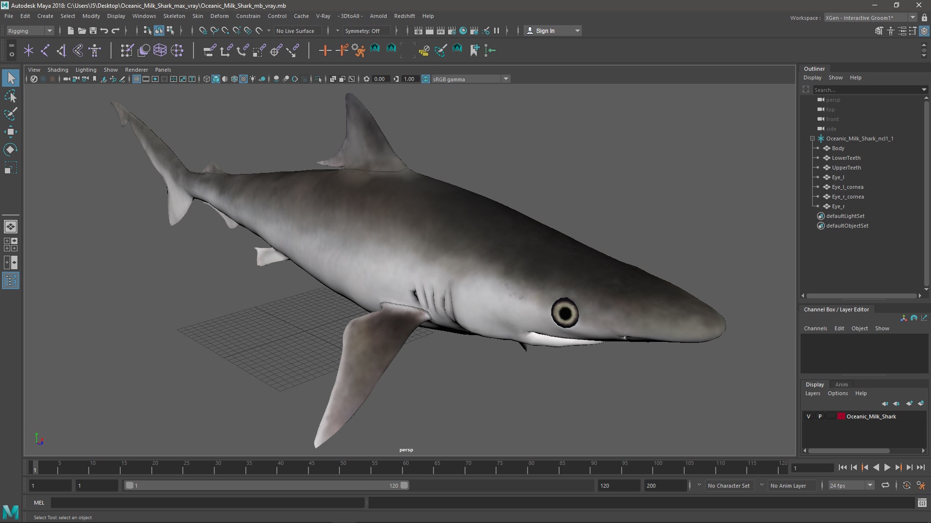 3D Oceanic Milk Shark model