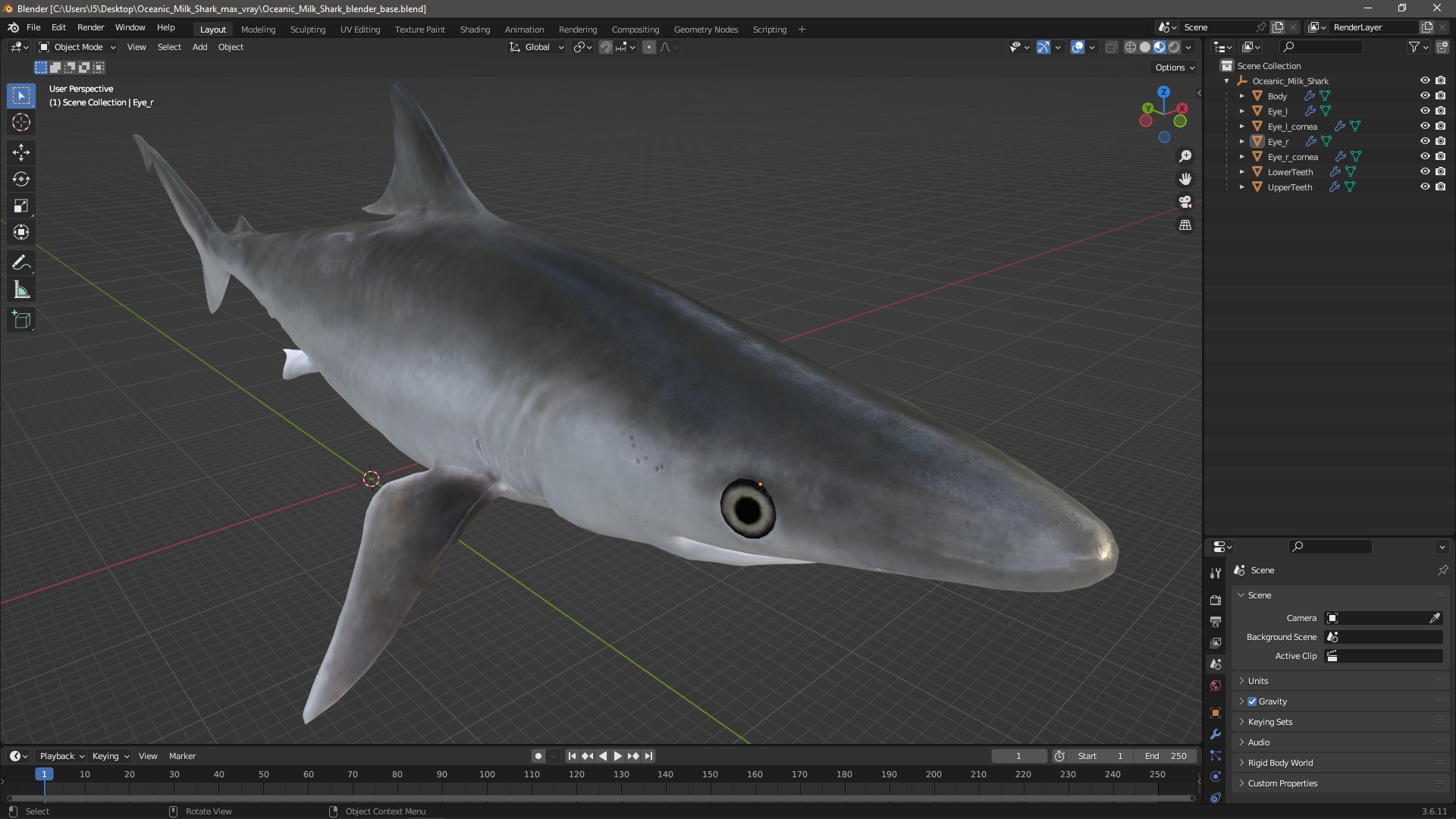 3D Oceanic Milk Shark model