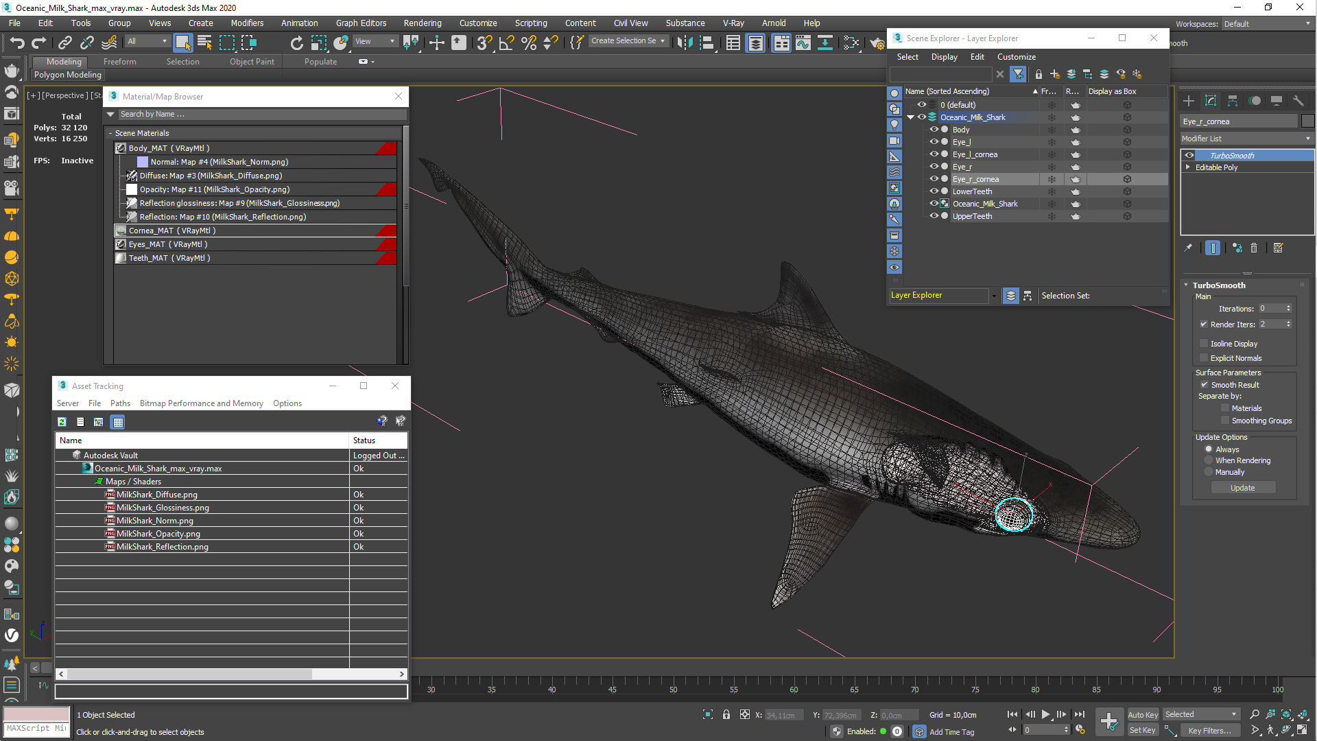 3D Oceanic Milk Shark model