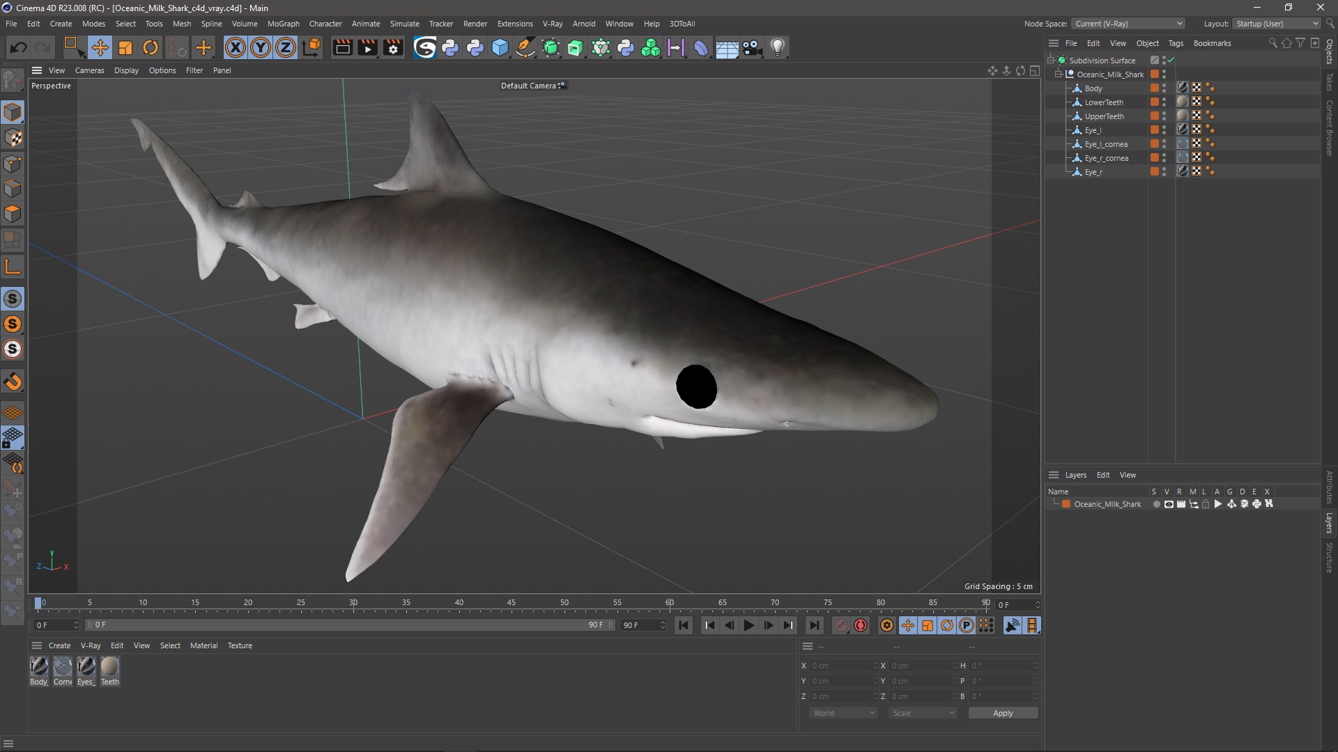 3D Oceanic Milk Shark model