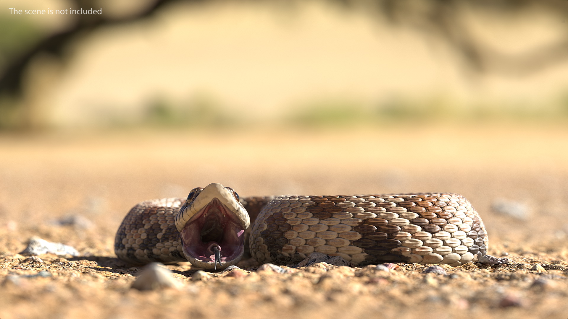 3D Brown Hognose Snake Rigged