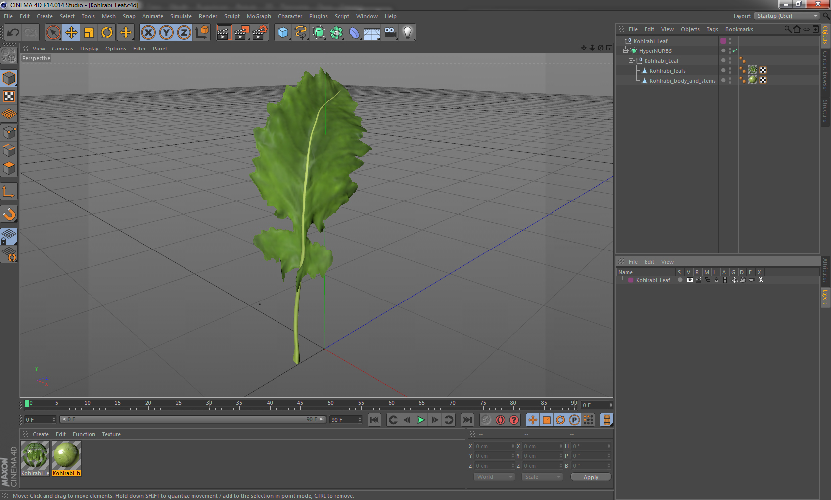 3D Kohlrabi Leaf model