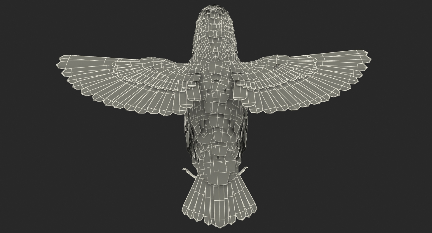 Sparrow T Pose 3D model