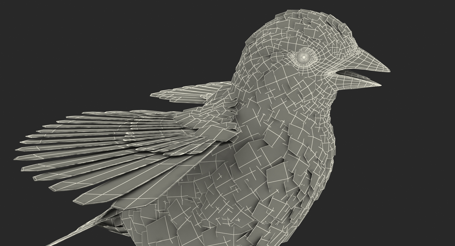 Sparrow T Pose 3D model