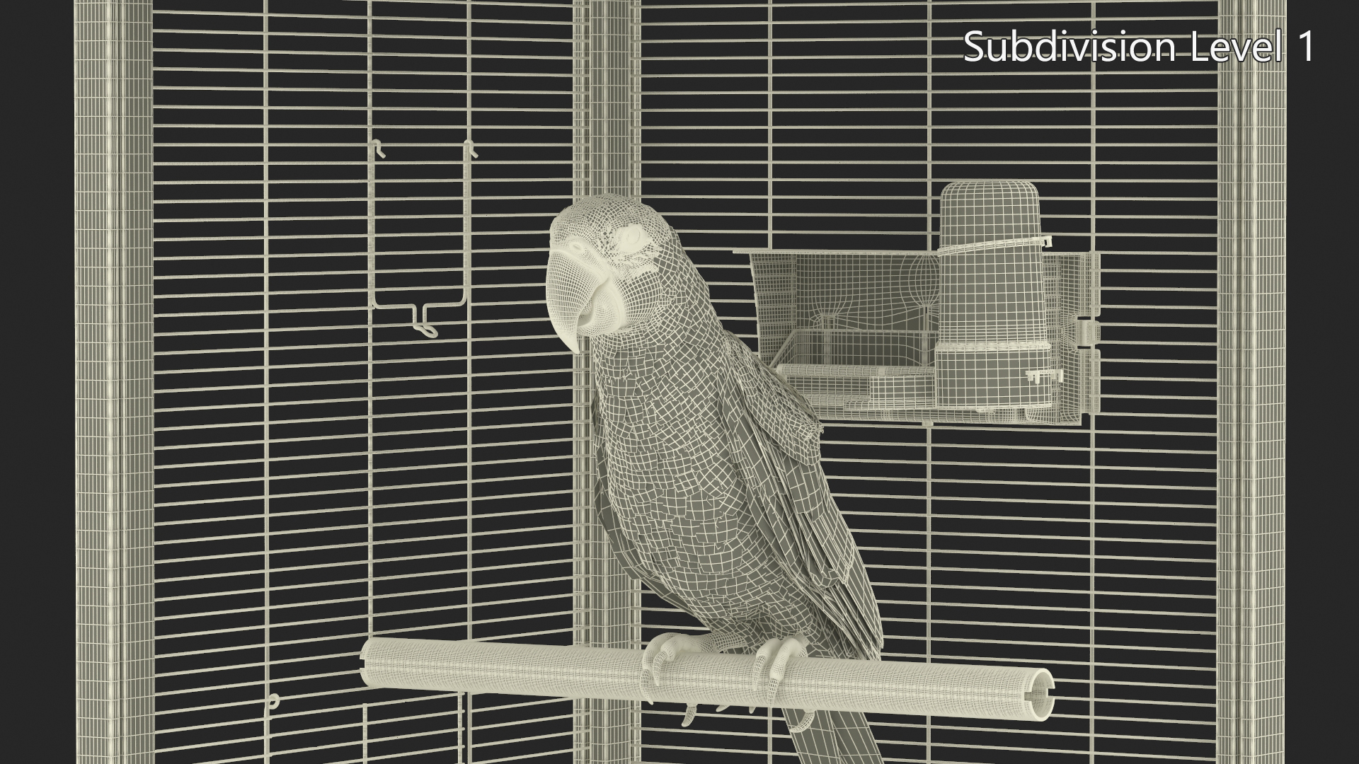 3D Bird Cage with Parrot