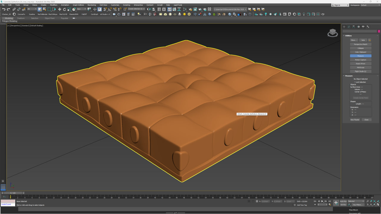 Cuboidal Epithelium for 3D Print 3D