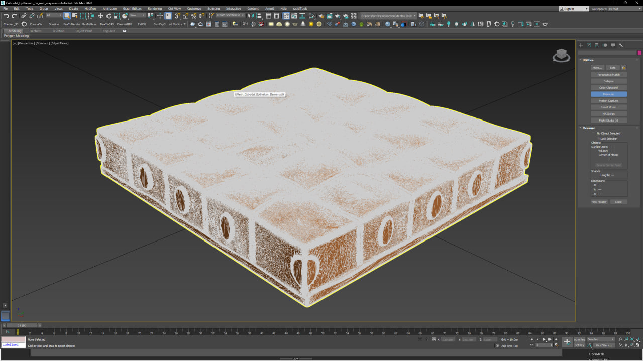 Cuboidal Epithelium for 3D Print 3D