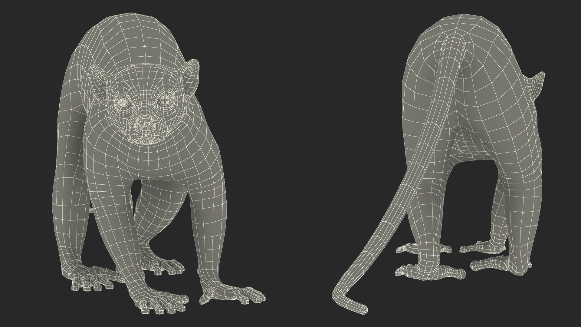 Grey Lemur Walking Fur 3D