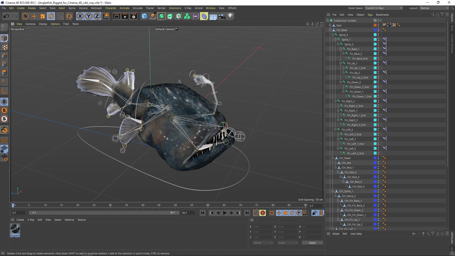 3D Anglerfish Rigged for Cinema 4D