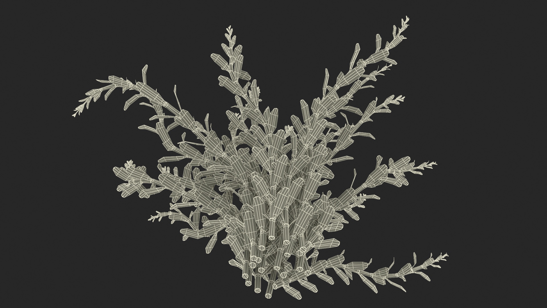 Rotala Aquatic Plant Orange 3D