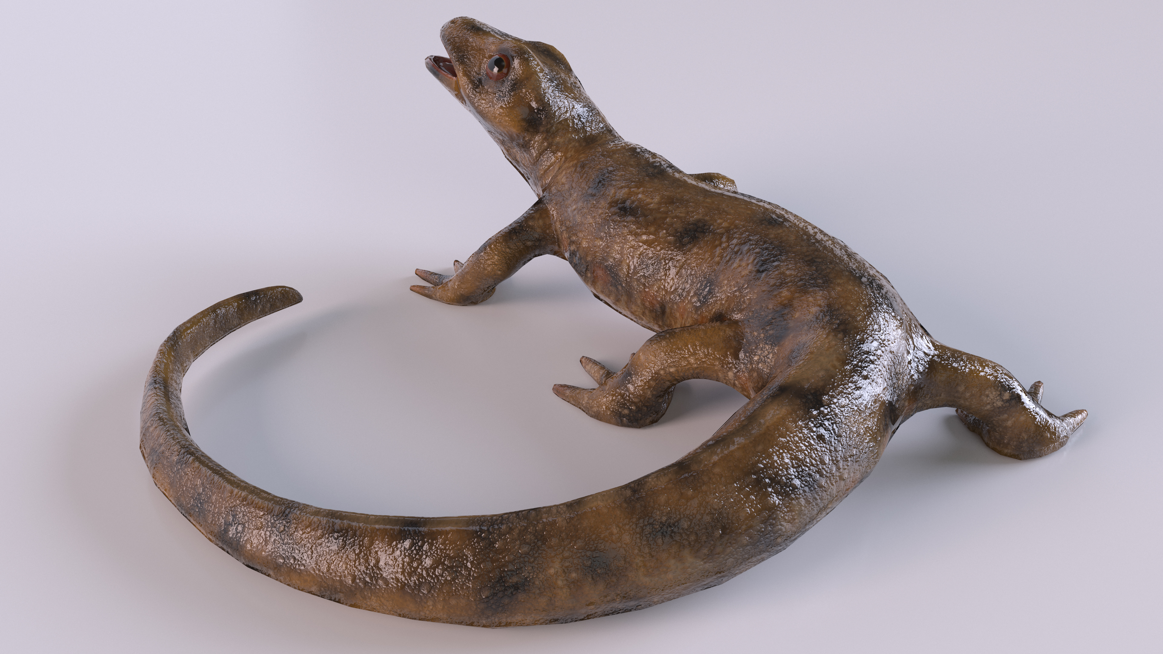 3D model Iberian Ribbed Newt Rigged for Maya