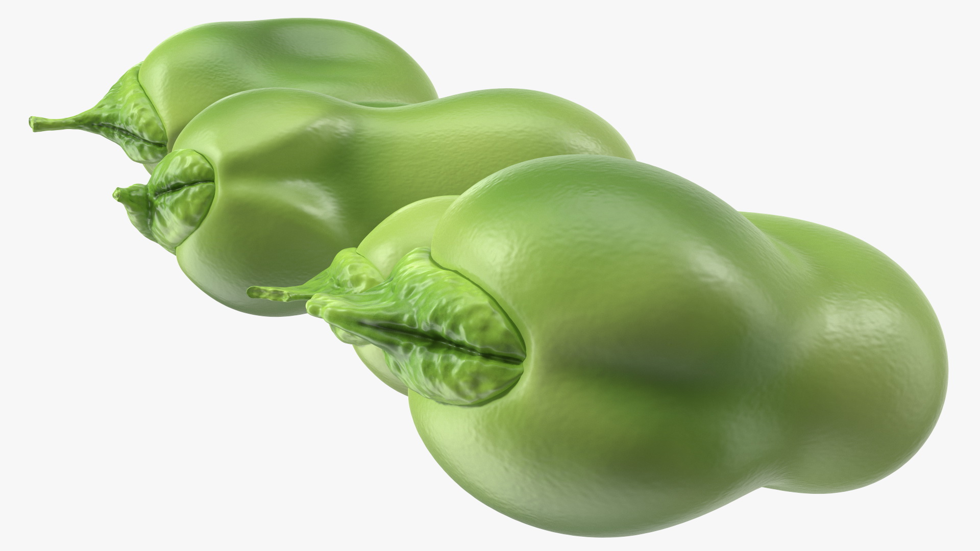 Fresh Broad Beans 3D