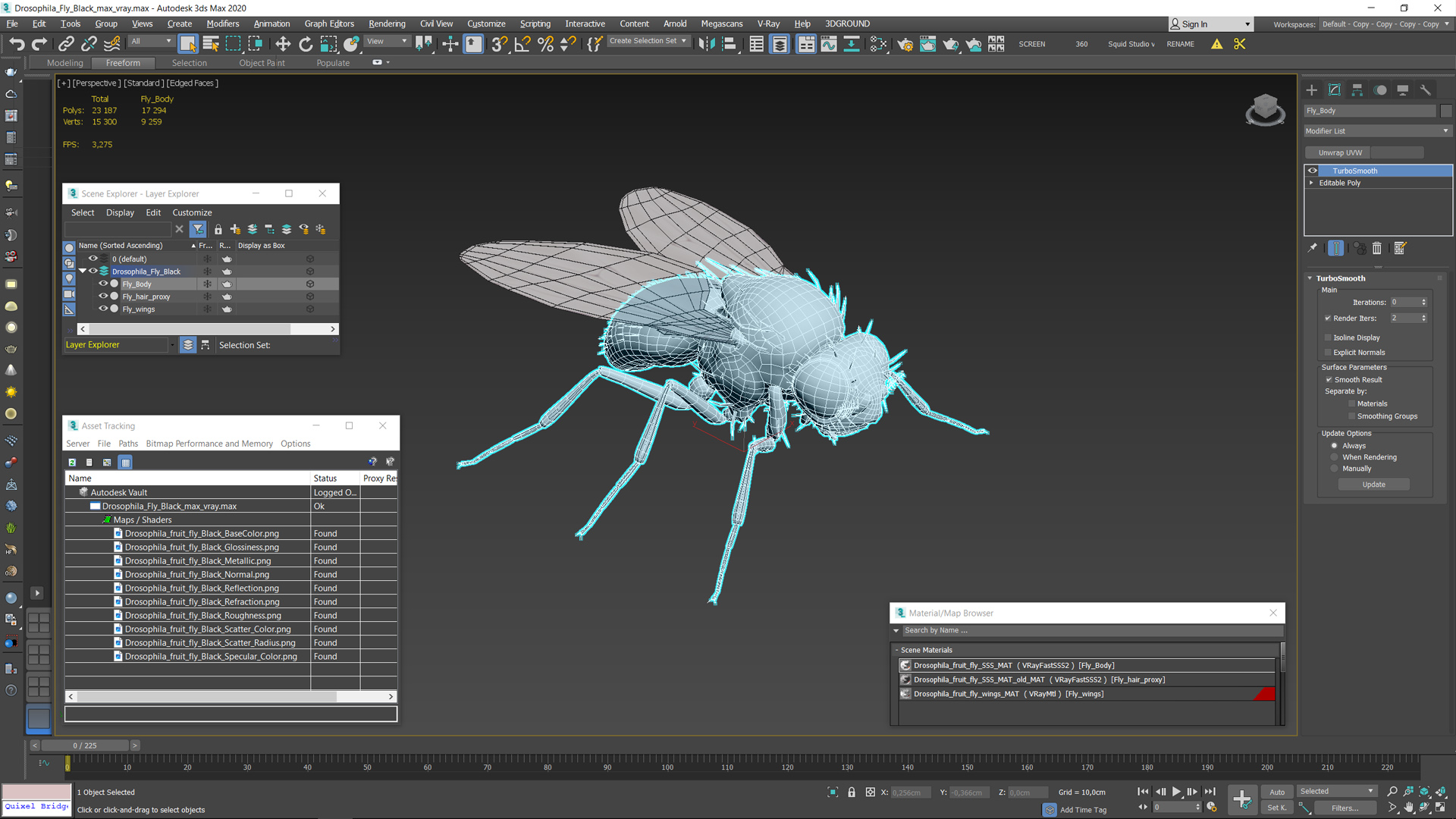 3D model Drosophila Fly Black