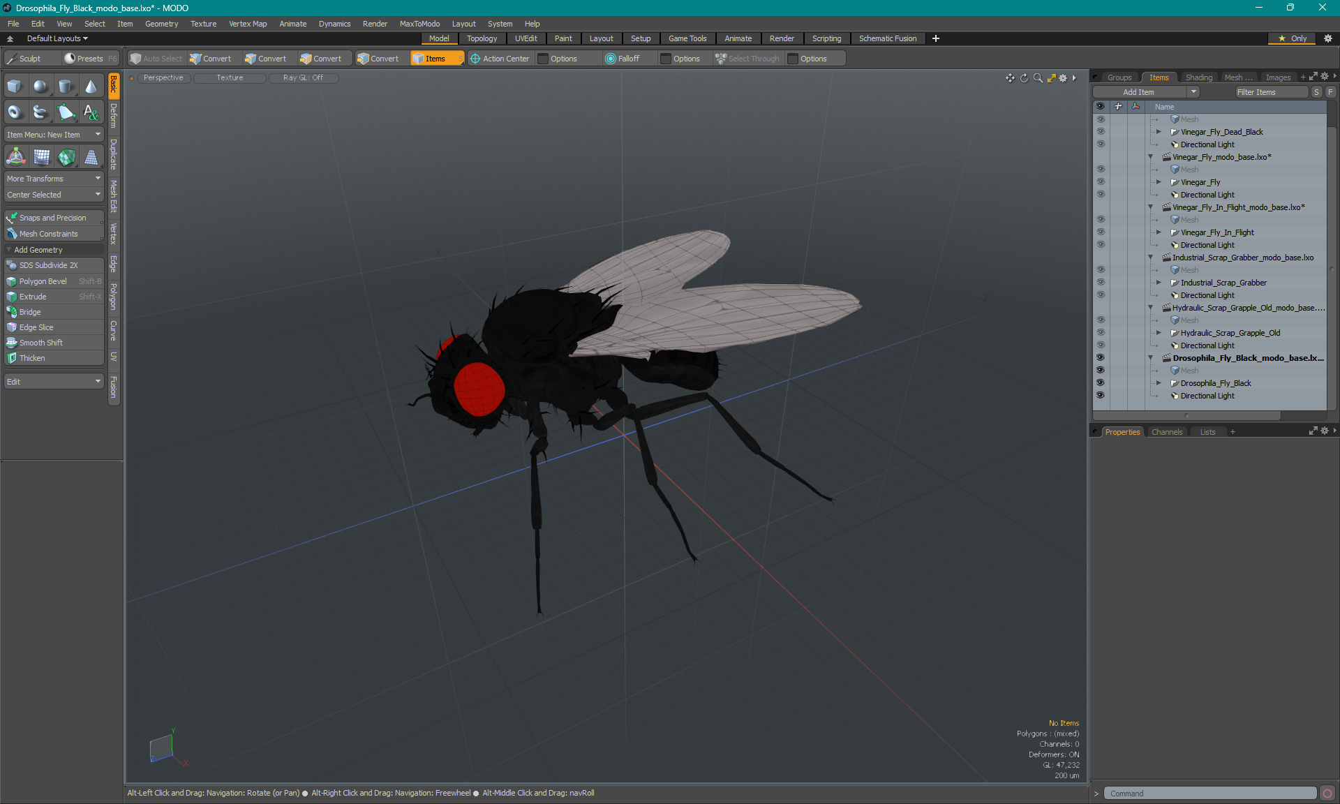 3D model Drosophila Fly Black