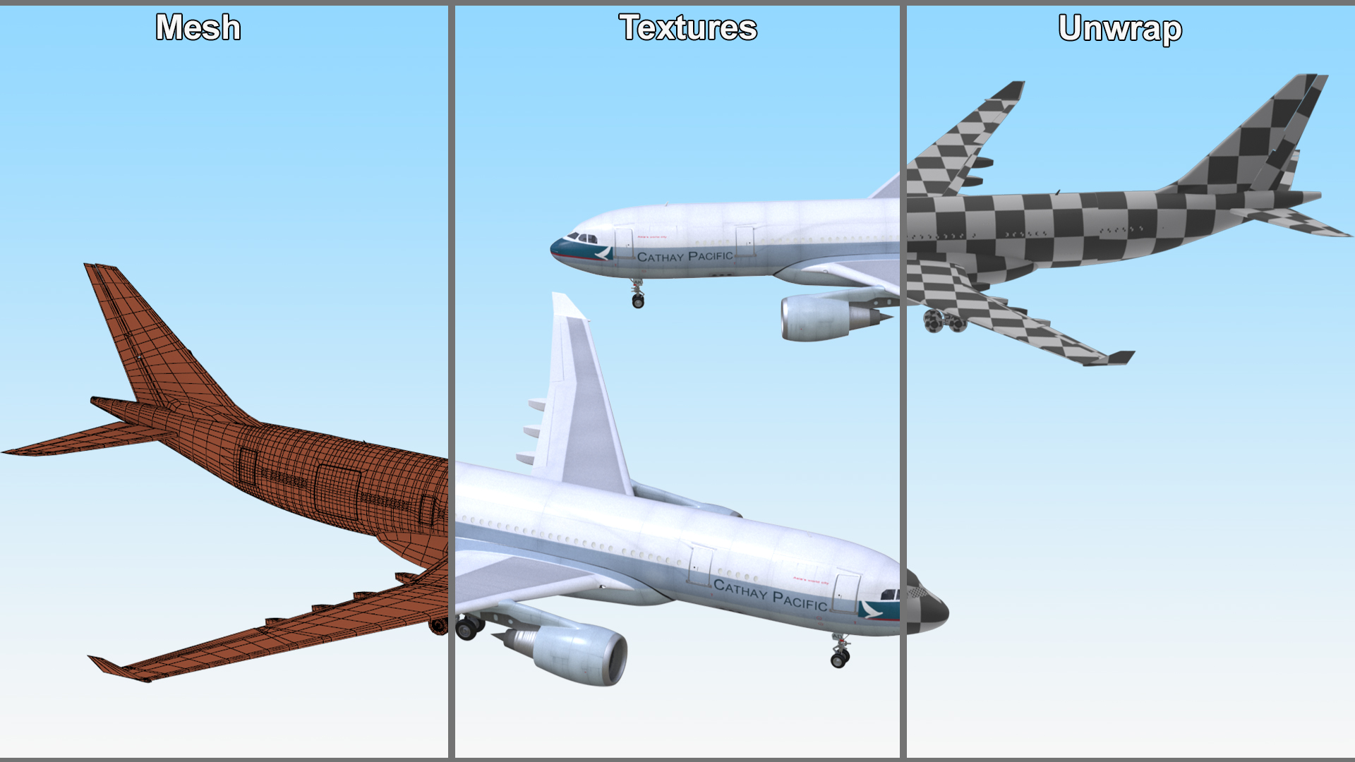 3D Cathay Pacific Airbus A330 Rigged model