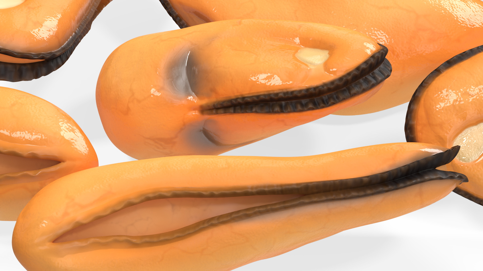 3D Bunch of Peeled Mussels model