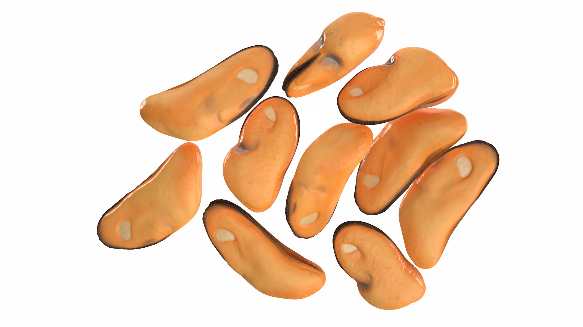 3D Bunch of Peeled Mussels model