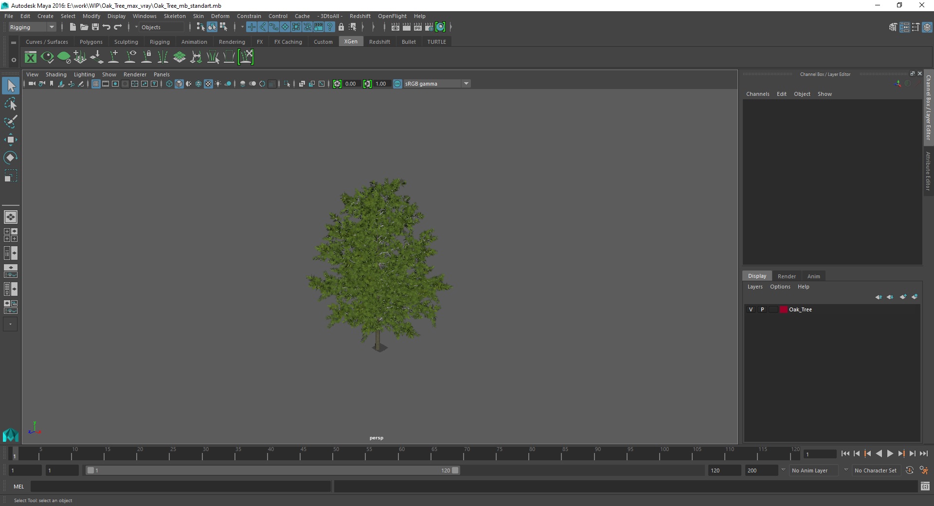 3D model Oak Tree