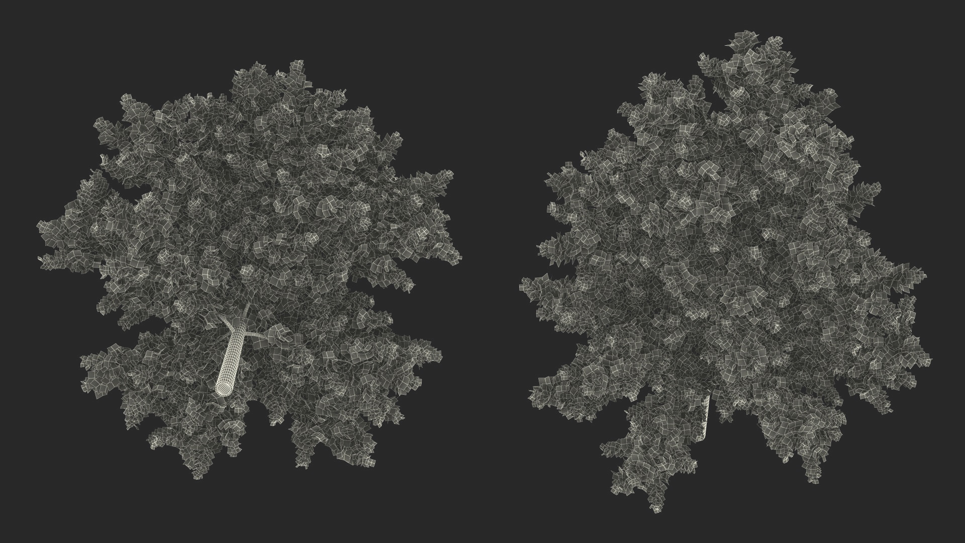 3D model Oak Tree