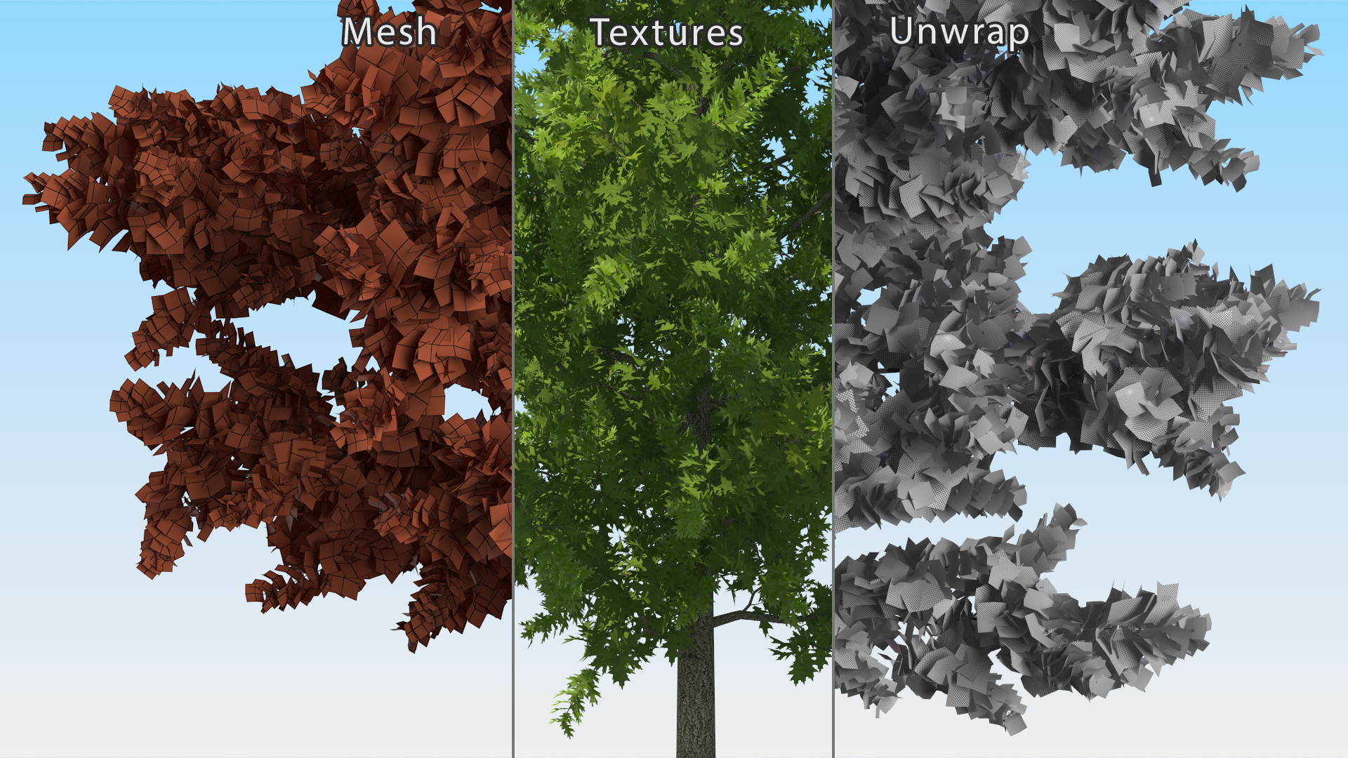 3D model Oak Tree