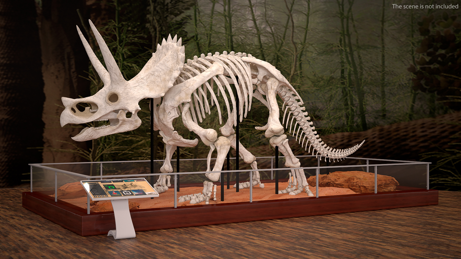 3D Triceratops Horridus Skeleton Rigged