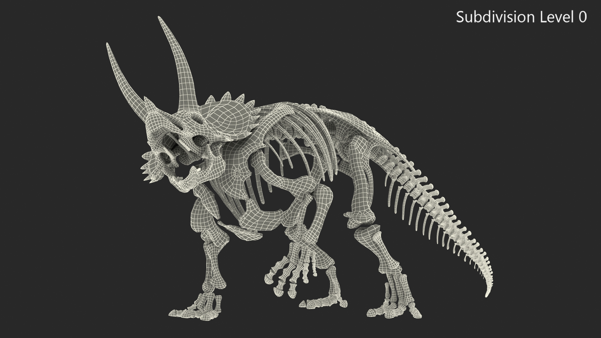 3D Triceratops Horridus Skeleton Rigged