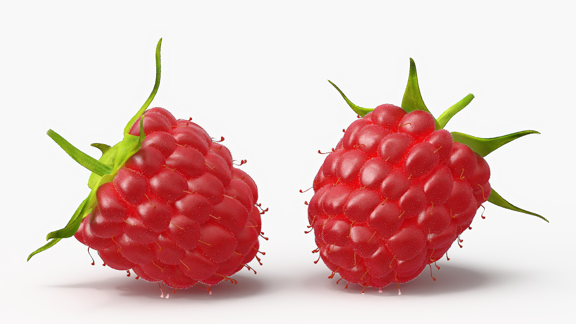 Red Ripe Raspberry with Fur 3D