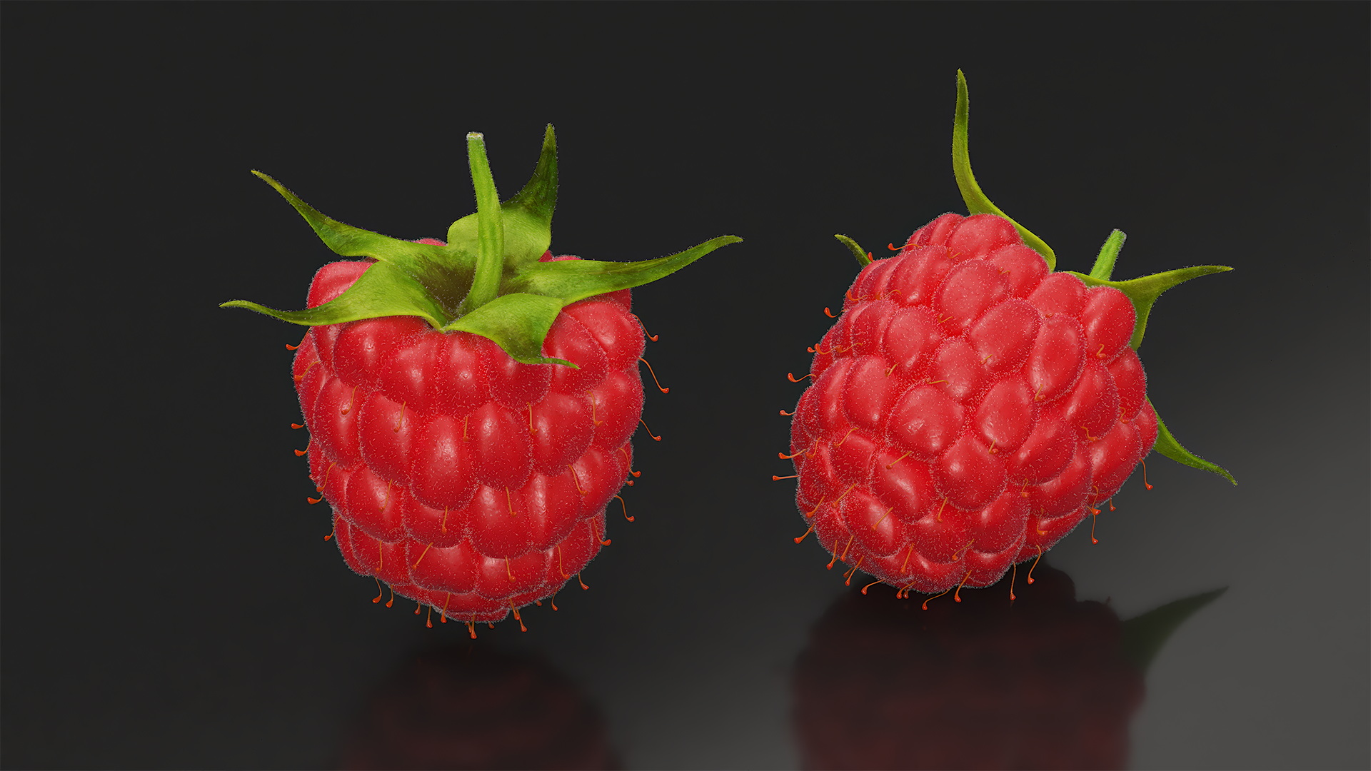 Red Ripe Raspberry with Fur 3D