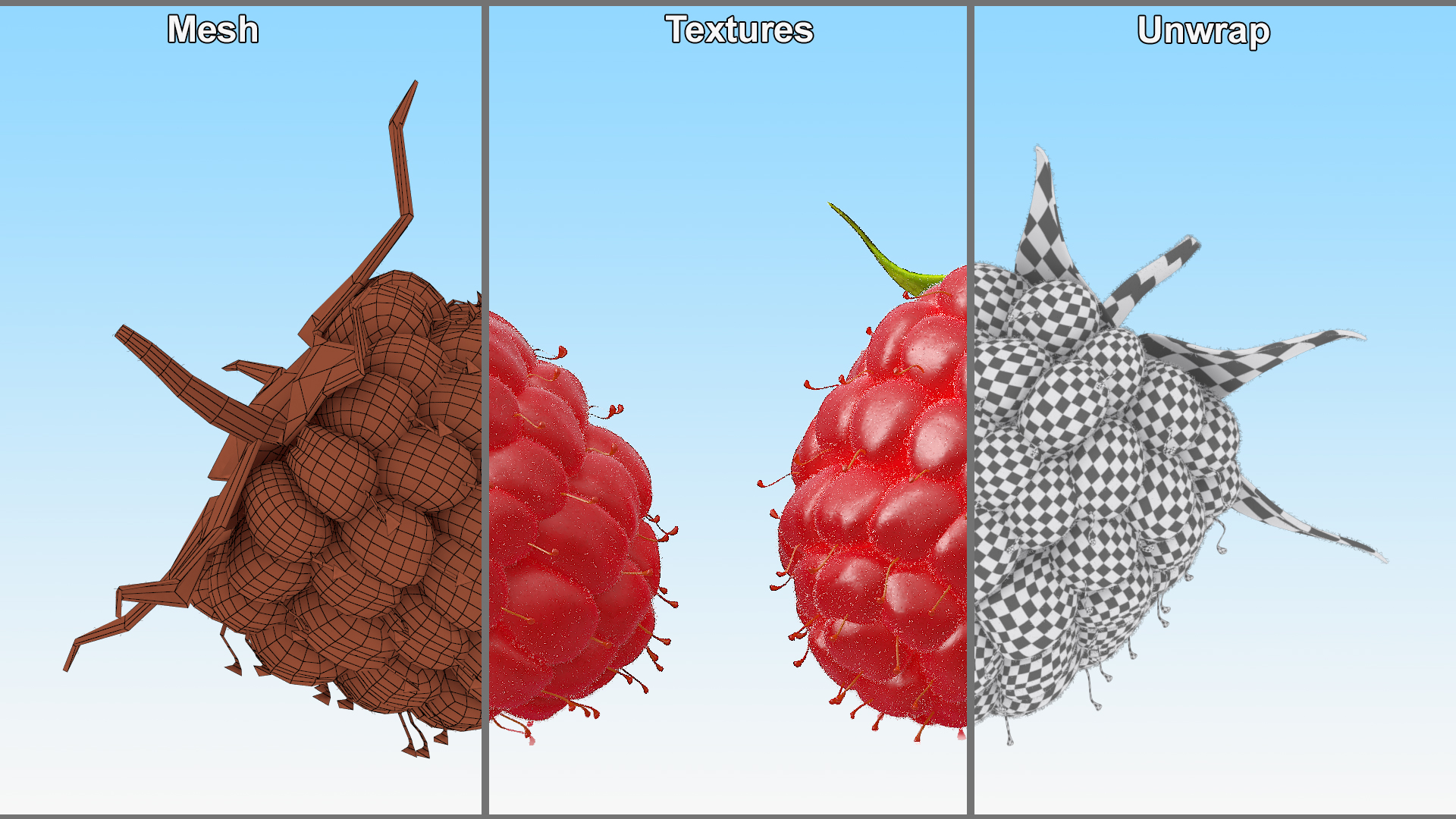 Red Ripe Raspberry with Fur 3D