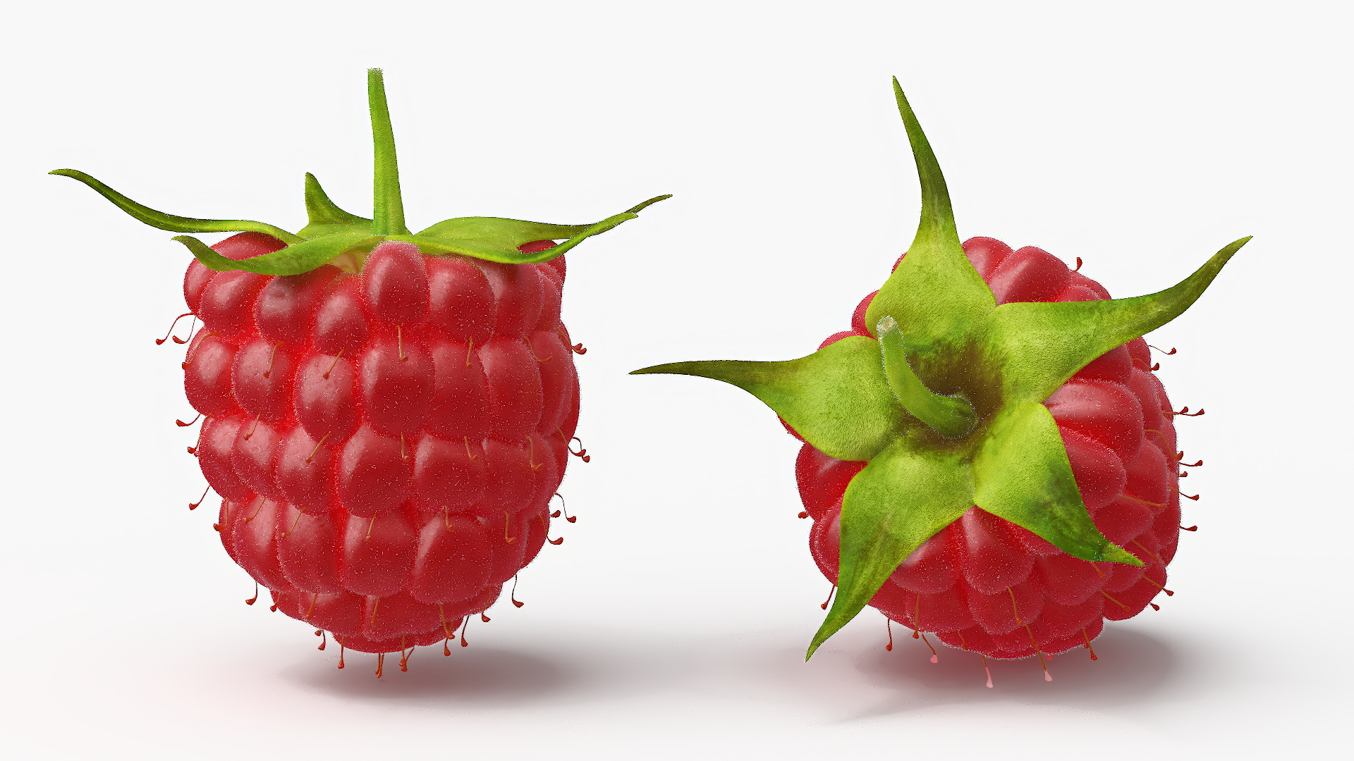 Red Ripe Raspberry with Fur 3D