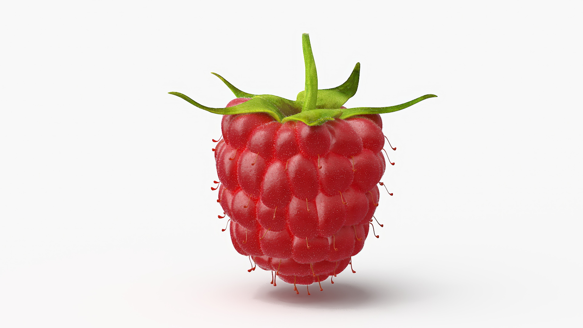 Red Ripe Raspberry with Fur 3D