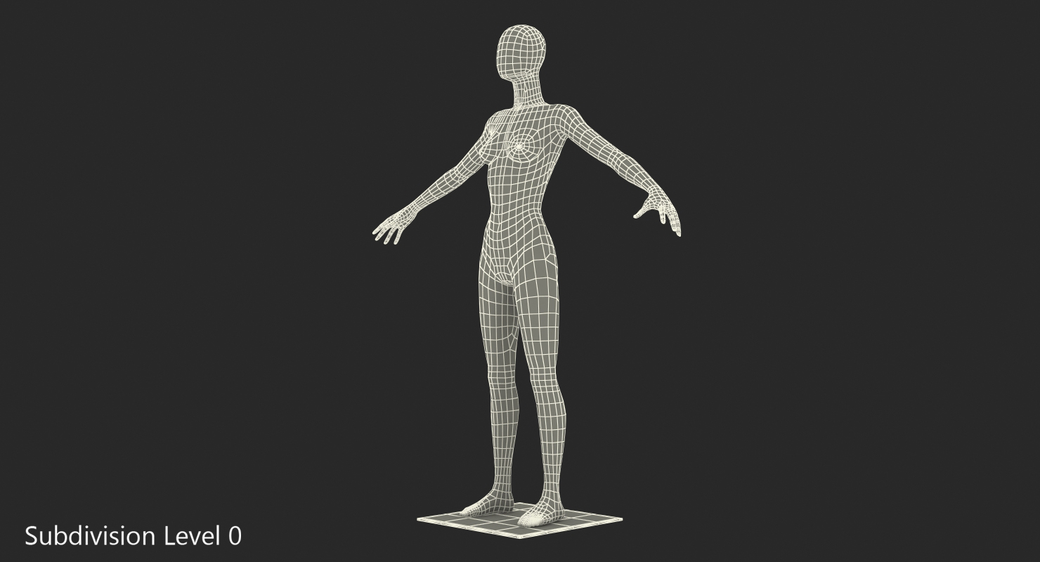 3D Female Mannequin Rigged model