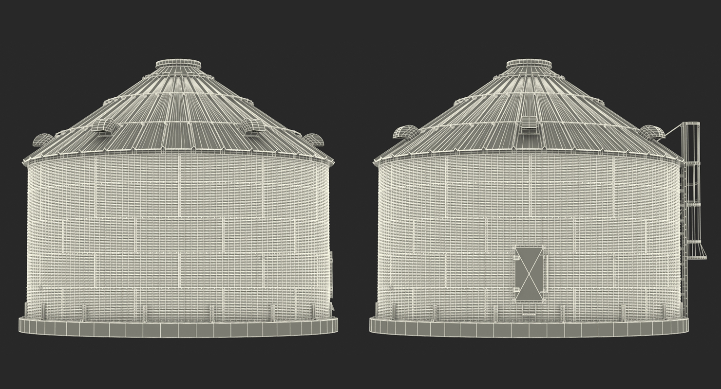 3D Systems for Grain Storage Generic model