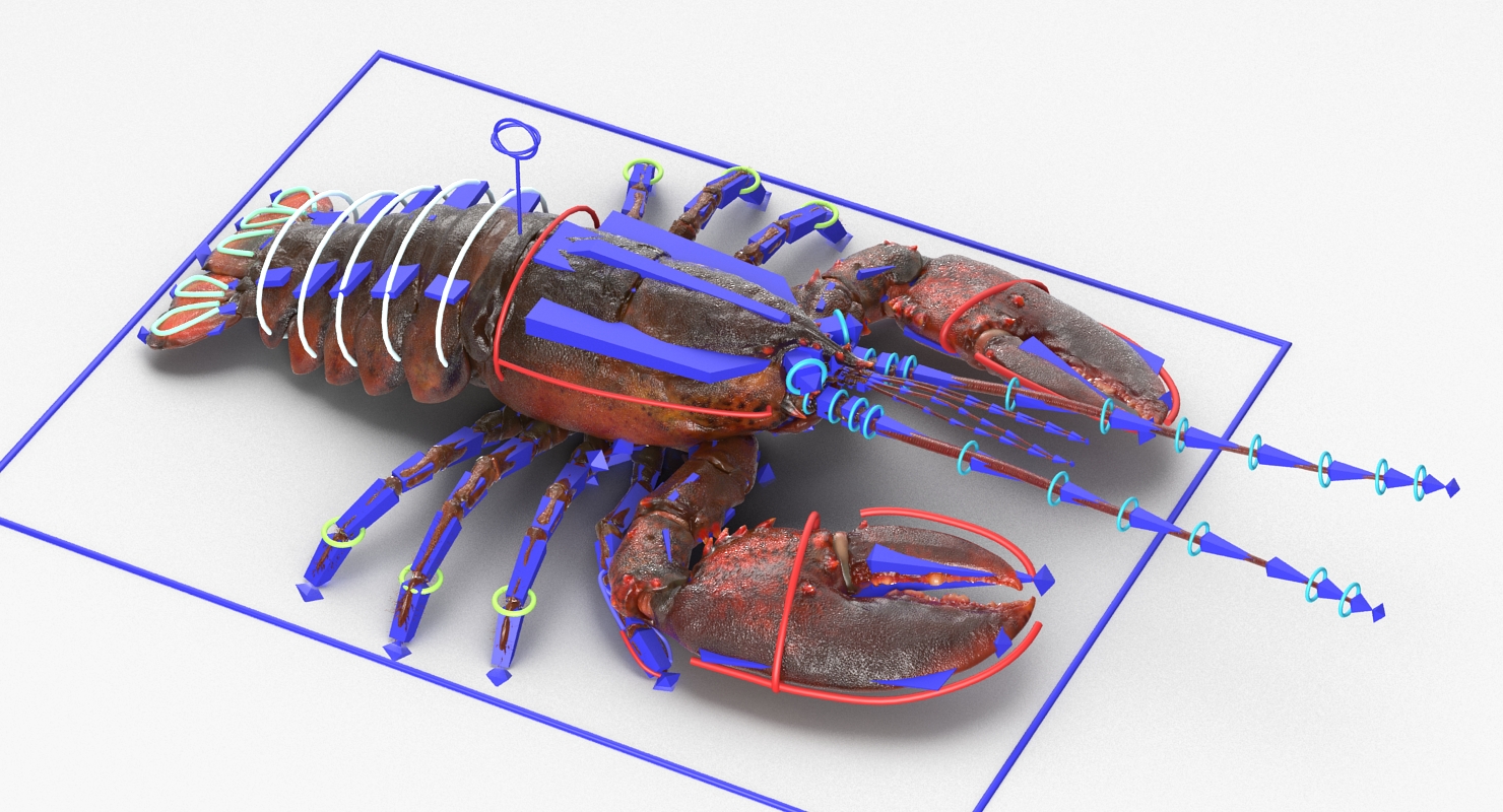 Lobster Rigged 3D model