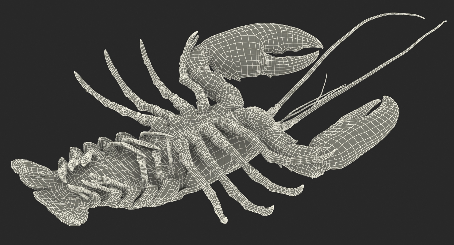 Lobster Rigged 3D model