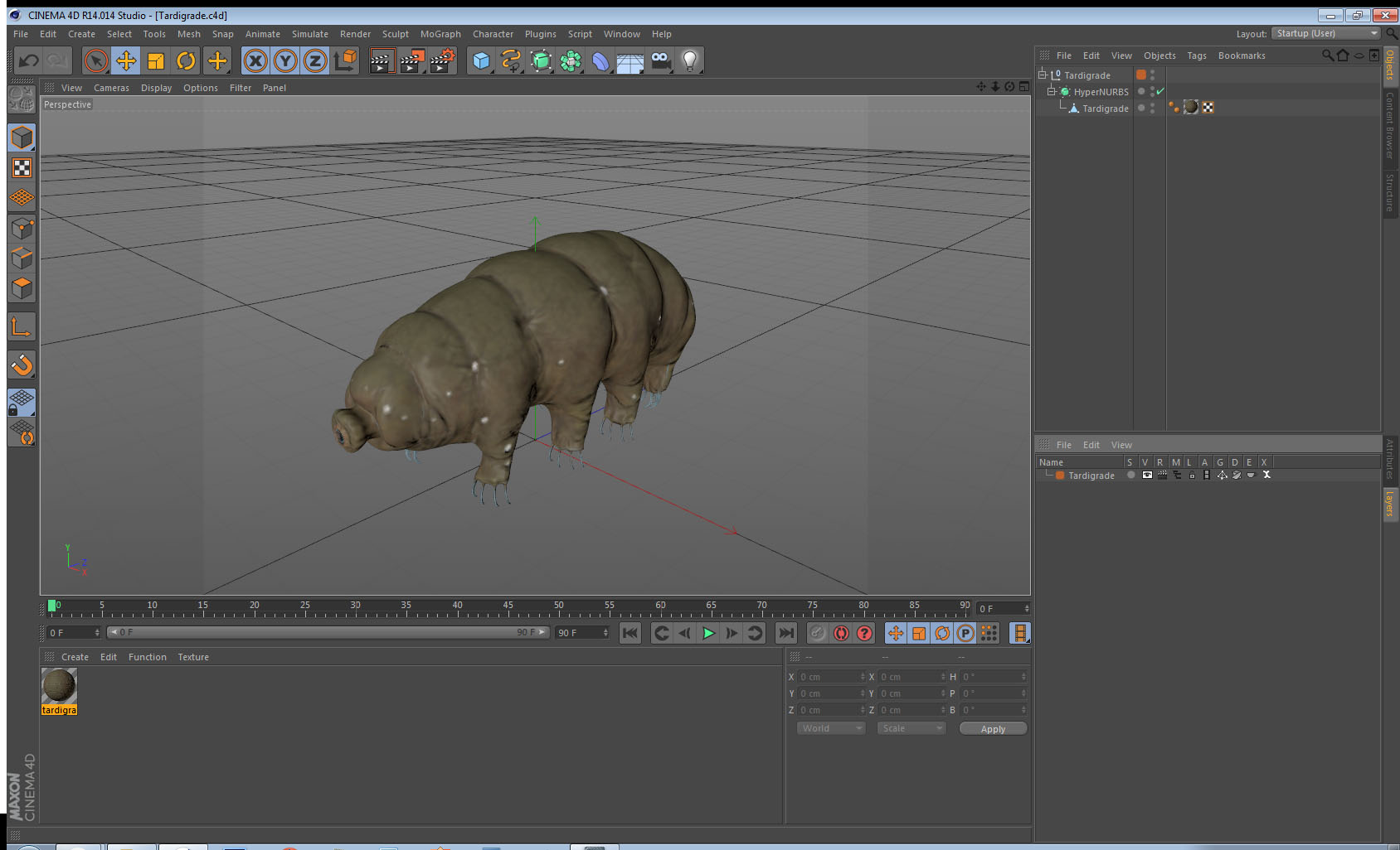 3D model Tardigrade