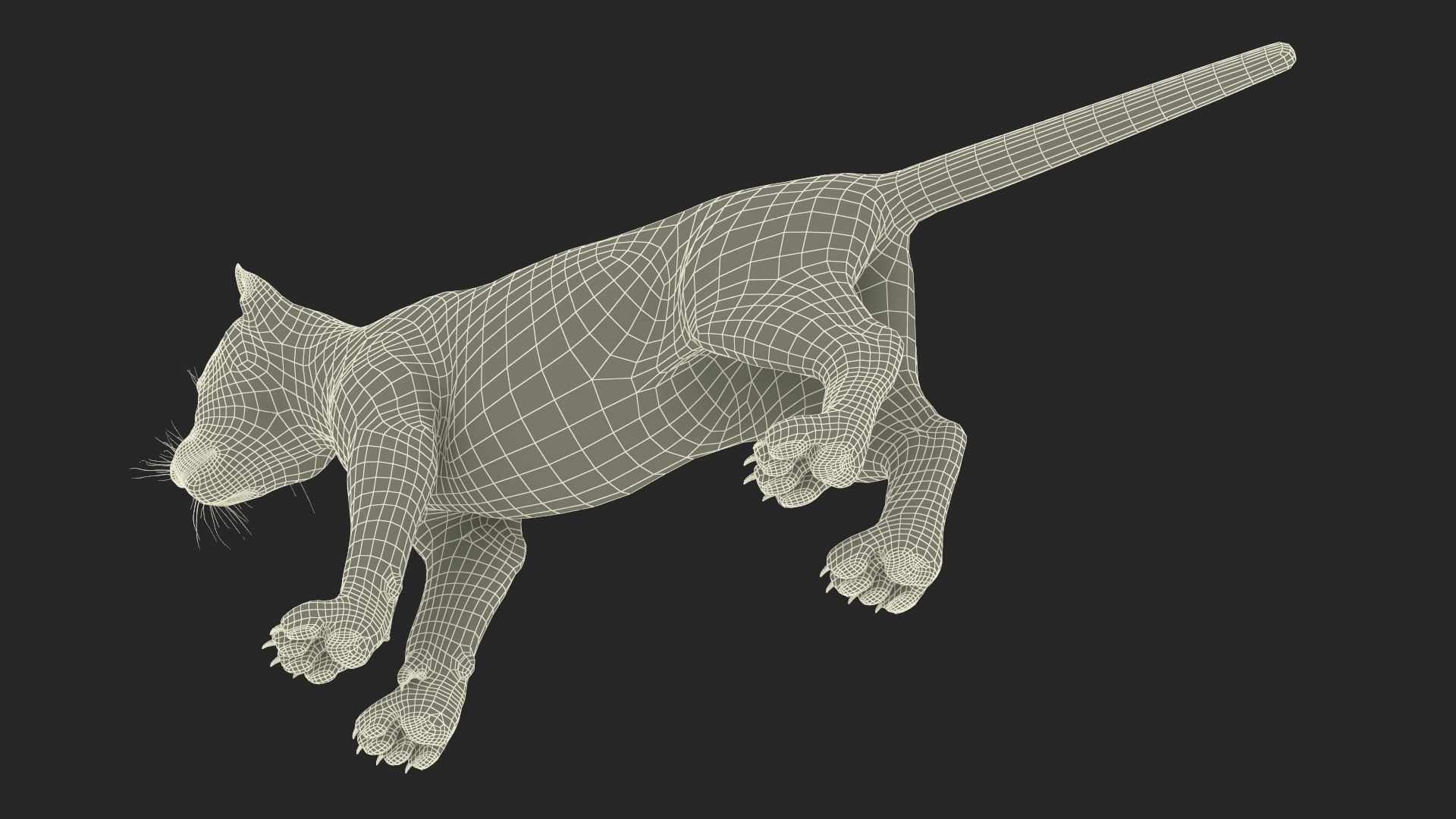 3D Tiger Cub Rigged