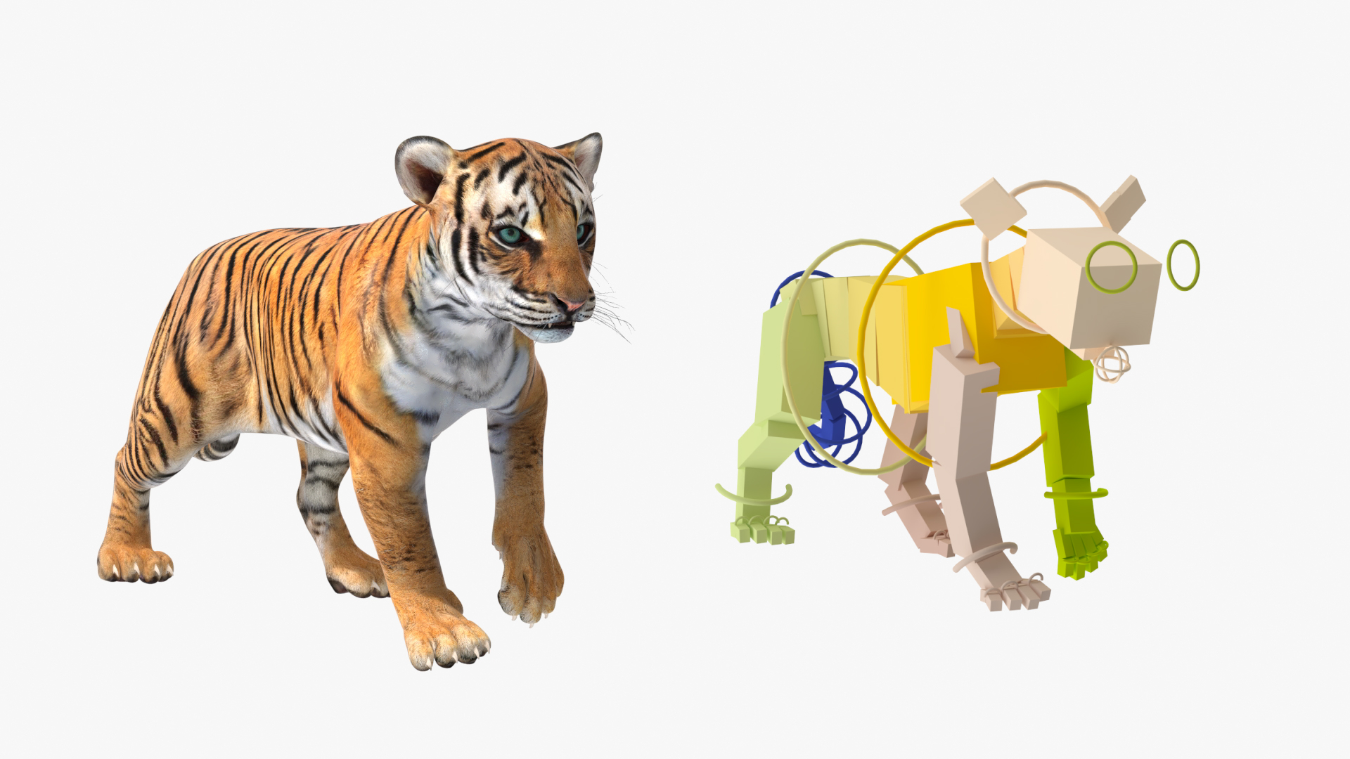 3D Tiger Cub Rigged