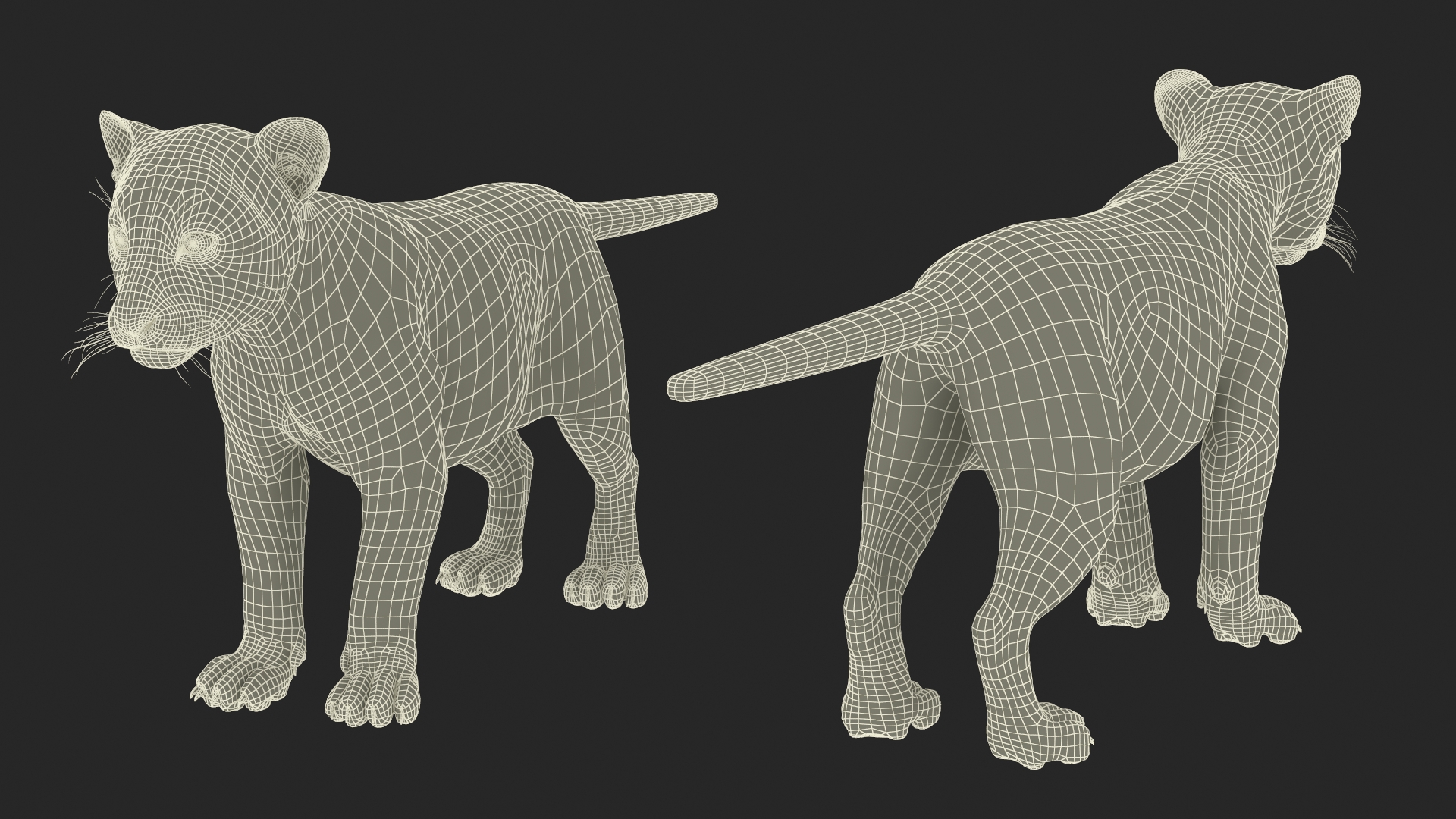 3D Tiger Cub Rigged