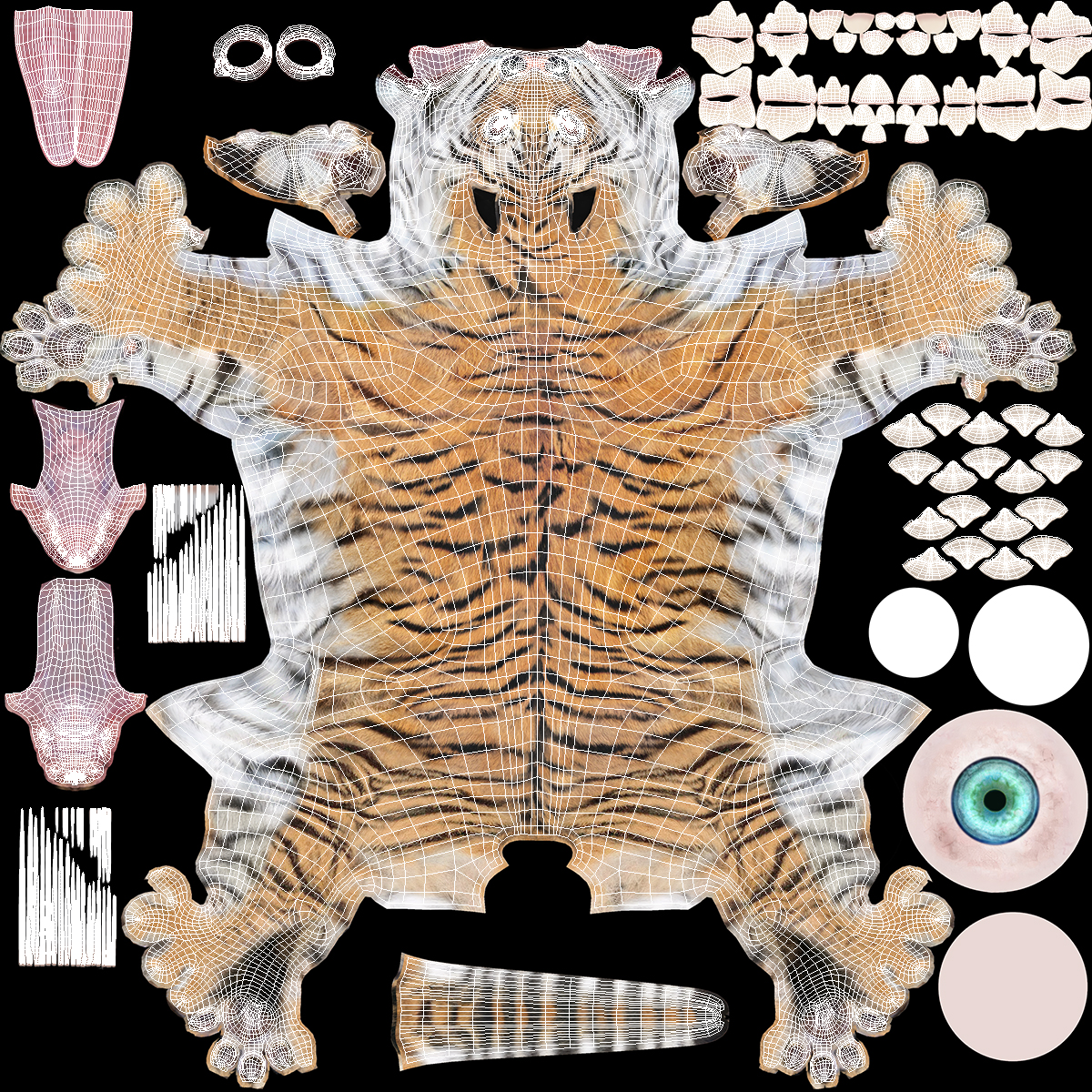 3D Tiger Cub Rigged