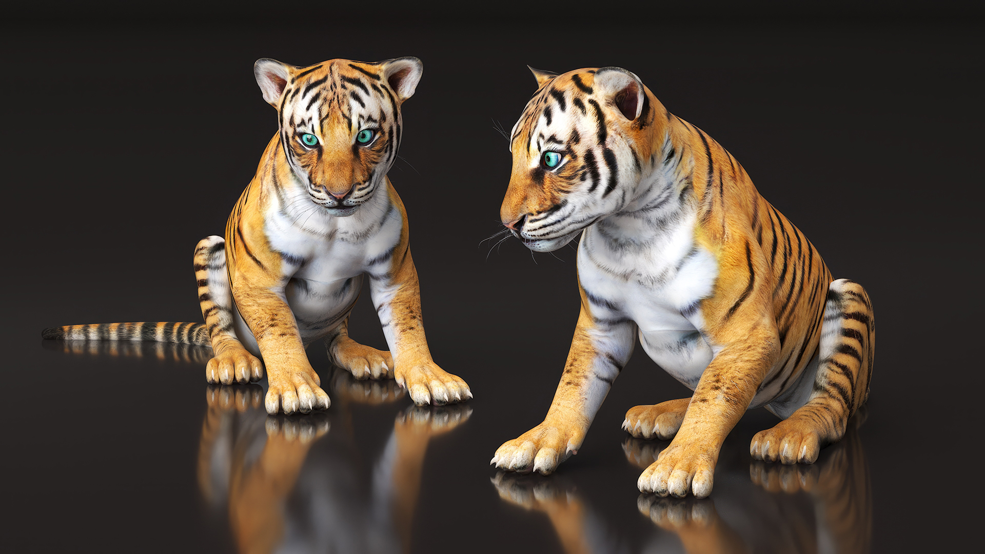 3D Tiger Cub Rigged