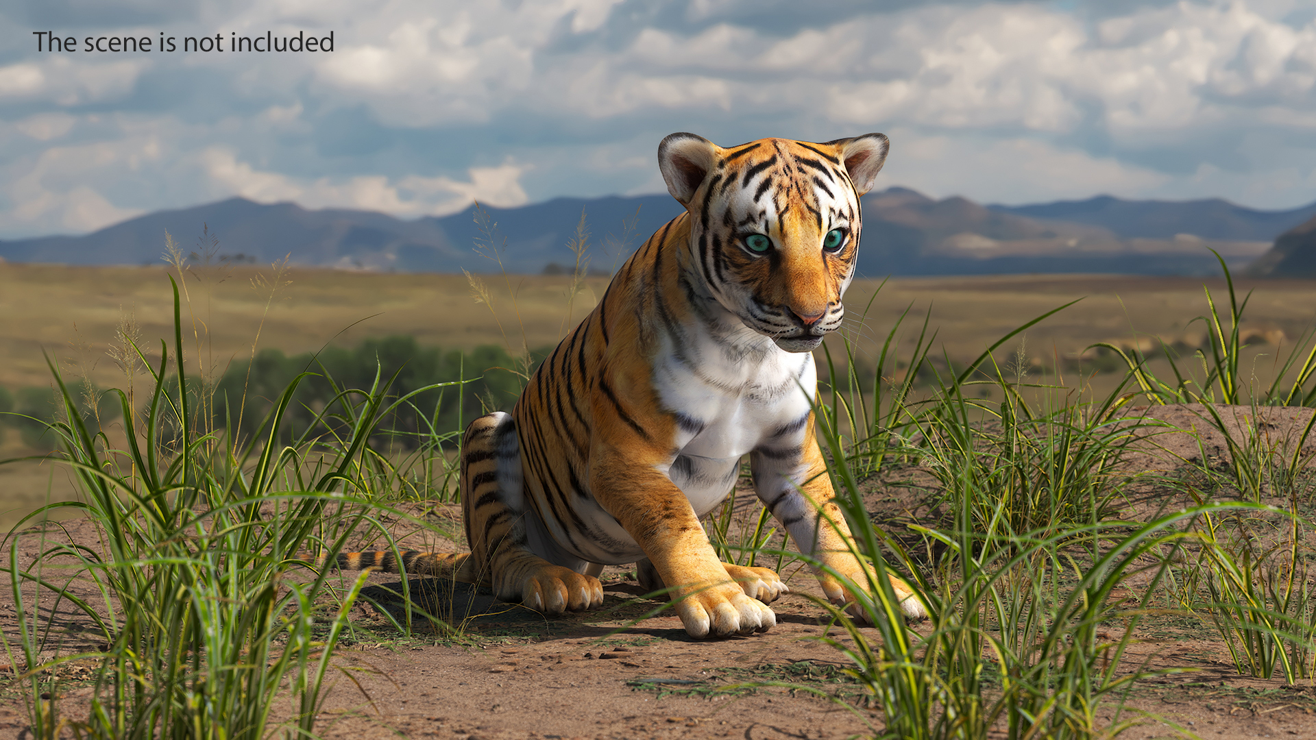 3D Tiger Cub Rigged