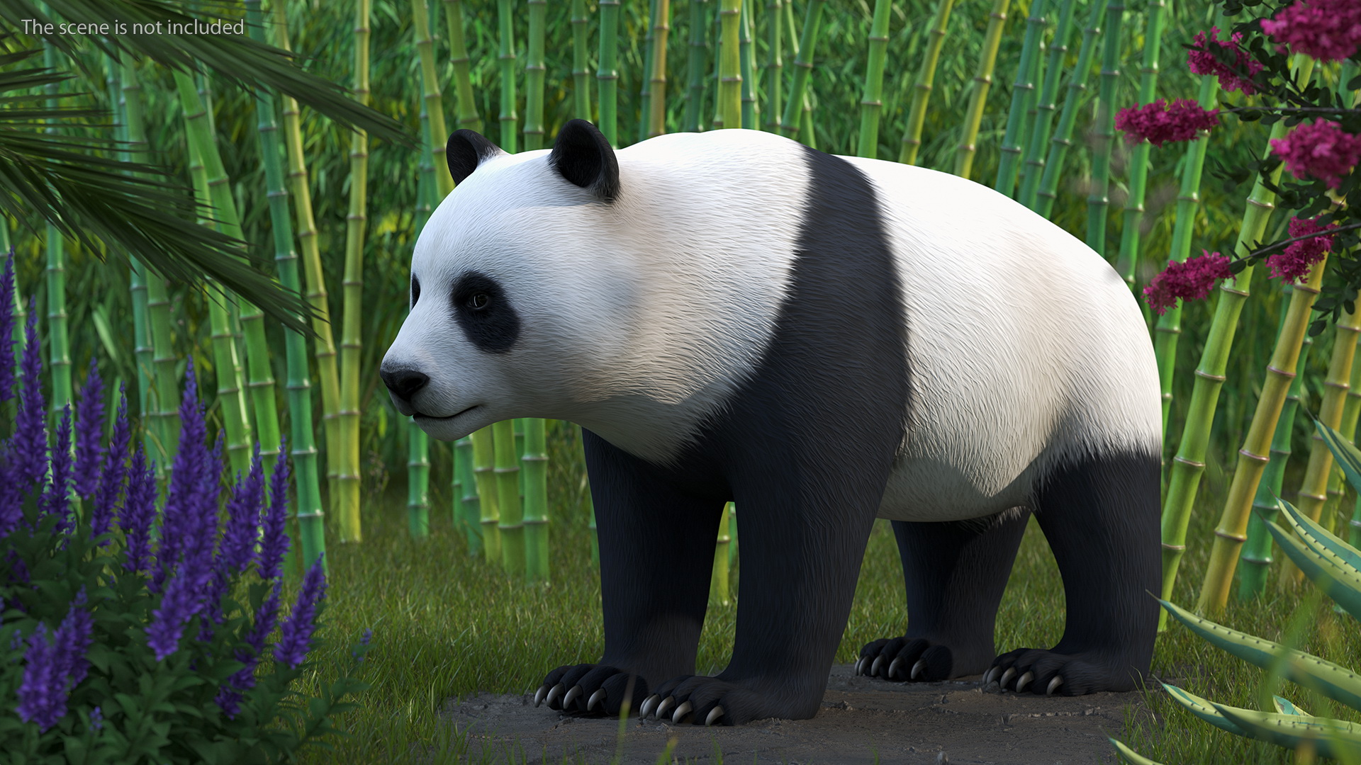 3D Giant Panda