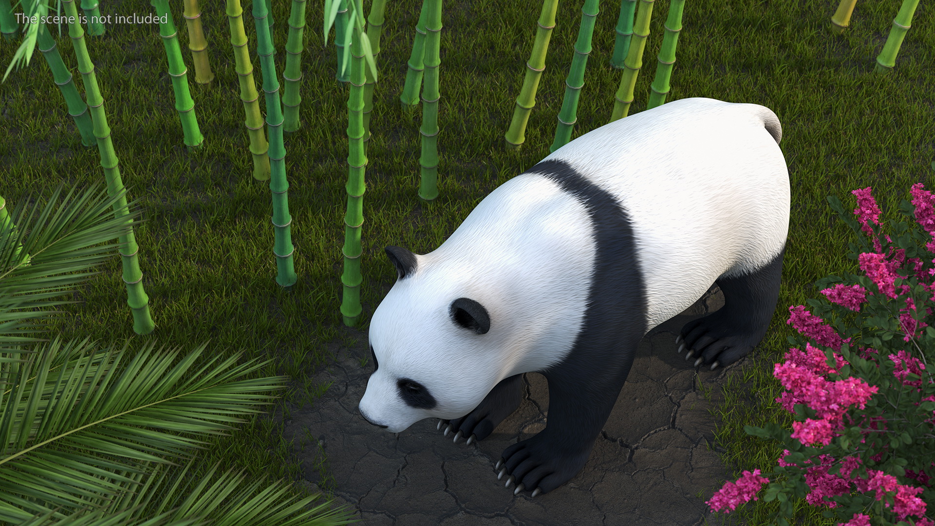 3D Giant Panda