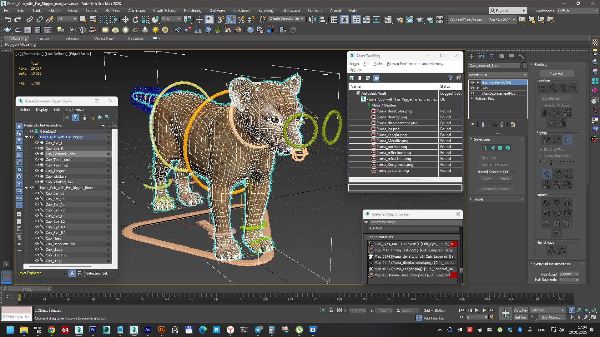 Puma Cub with Fur Rigged 3D model