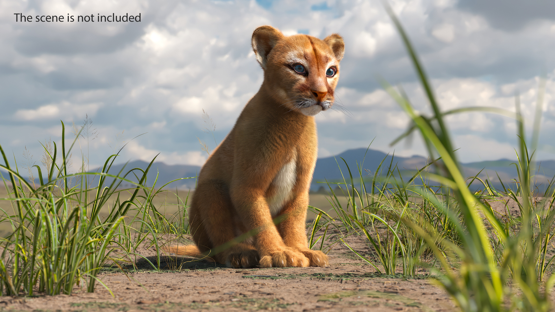 Puma Cub with Fur Rigged 3D model