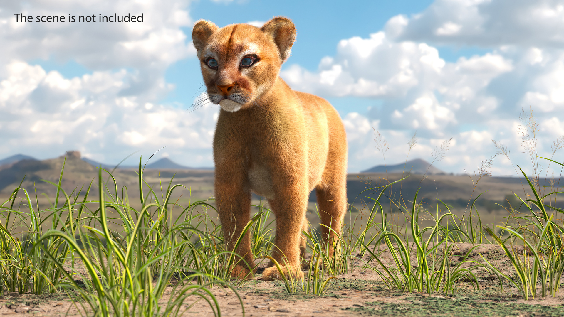 Puma Cub with Fur Rigged 3D model